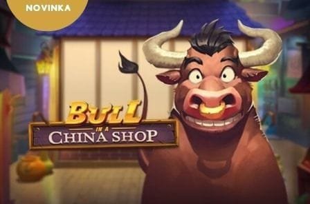 Bull in a China Shop